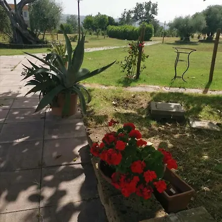 Apartment Amaranto